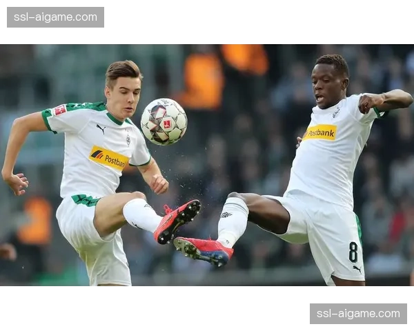 门兴vs海登海姆：双方球员庆祝得分瞬间被镜头捕捉